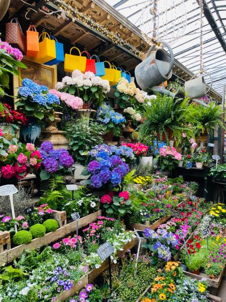 istock Market stall with colorful flowers 1395663854