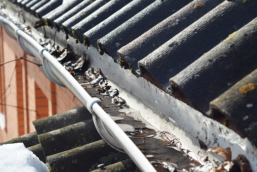 Roof gutter cleaning in spring. A close-up of a dirty clogged roof gutter with debris, leaves and water when snow is melting.