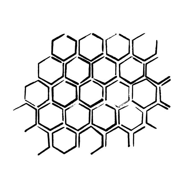 kuvapankkikuvitukset aiheesta propolis-hunajakennon luonnos. käsin piirretty grunge hunajakampa. mustavalkoinen kuva mehiläisvaha. mehiläinen hunaja ja propolis doodle vektori. - beeswax