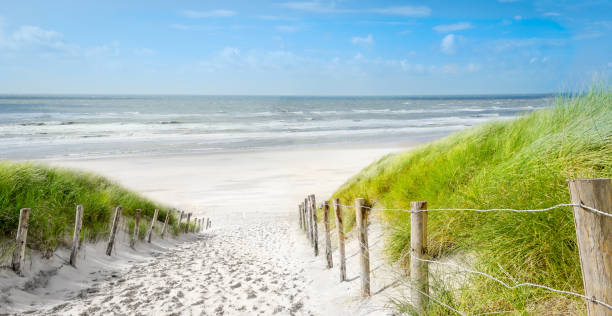 istock Zeeland - Netherlands - Dutch coast panorama 1395668311