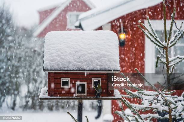 Birdhouse Seen At Winter During Snowfall Stock Photo - Download Image Now - Snow, Birdhouse, Bird