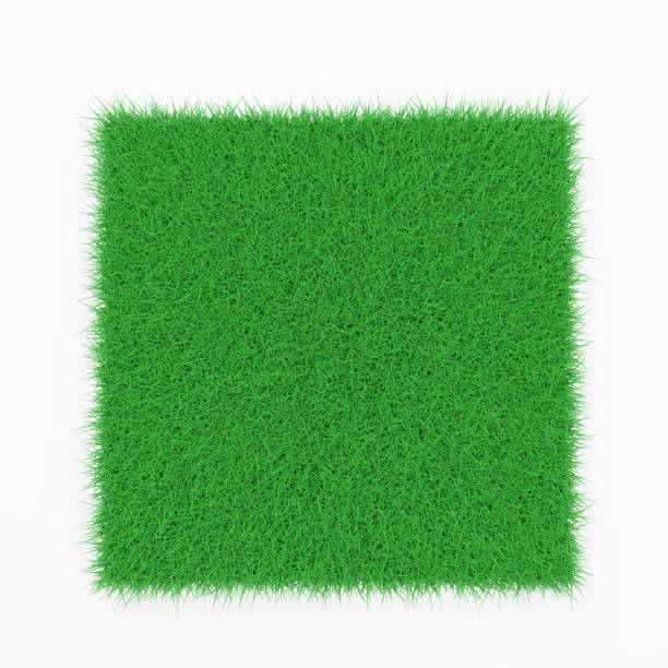 istock Green lawn isolated on a white background. 3d rendering. 1395680531