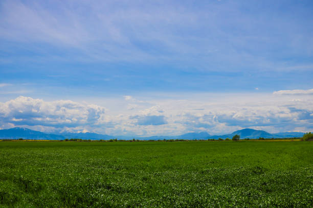 istock Green hills in mountain valley. Summer landscape. 1395681806