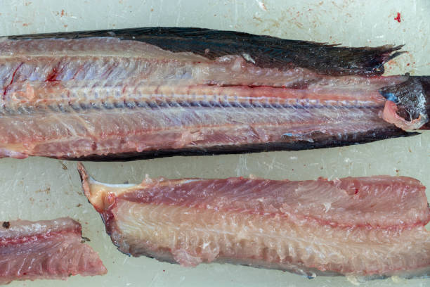 istock Structure of Clarias gariepinus in the laboratory. 1395683367