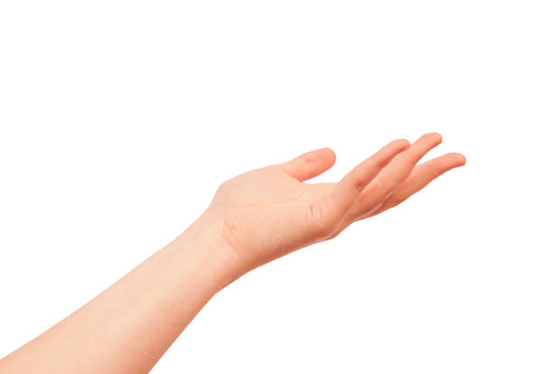 Giving or asking human hand isolated on white background