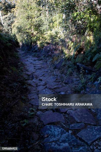 World Heritage Kumano Kodo Stock Photo - Download Image Now - Backgrounds, Beauty, Beauty In Nature