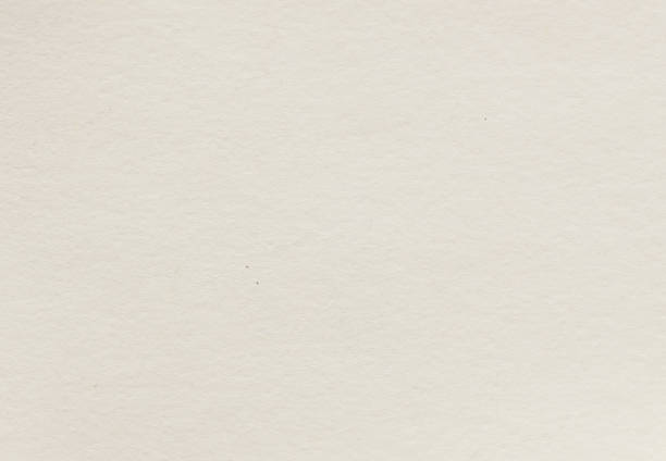 istock Bright paper, white paper texture as background or texture. 1395684930