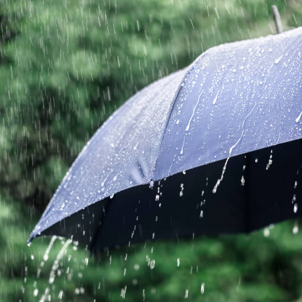 istock Rain on umbrella background, weather forecast and environment concept 1395684987