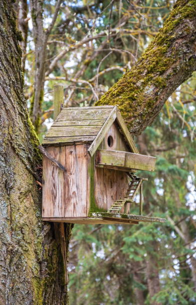 istock Wooden bird house 1395685129