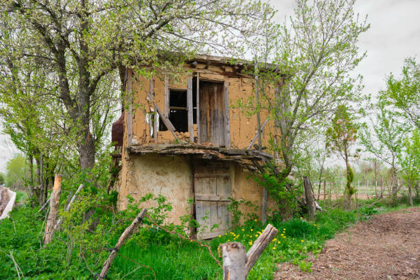 Ancient and brownfield house, abandoned house made of mud and wood, abandoned house behind trees.