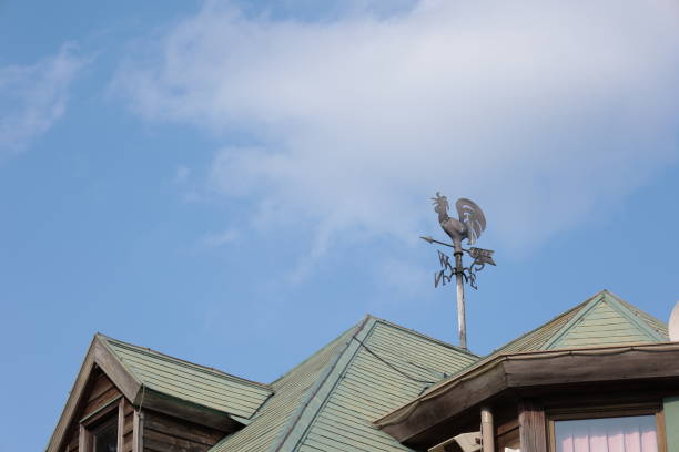 istock Weathercock on the roof 1395686195