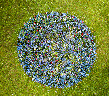 Aerial top view from above on colorful flowerbed circle in public park