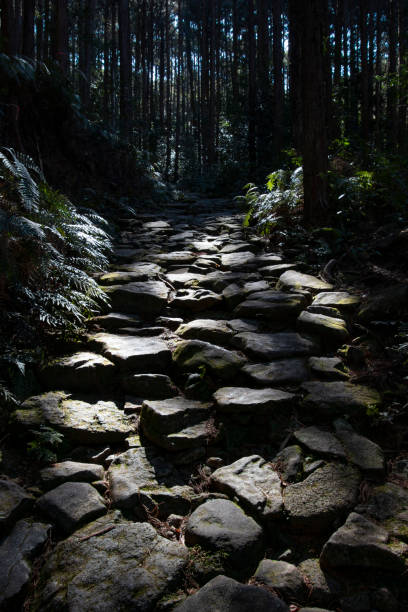 世界遺産 熊野古道 - ise ストックフォトと画像