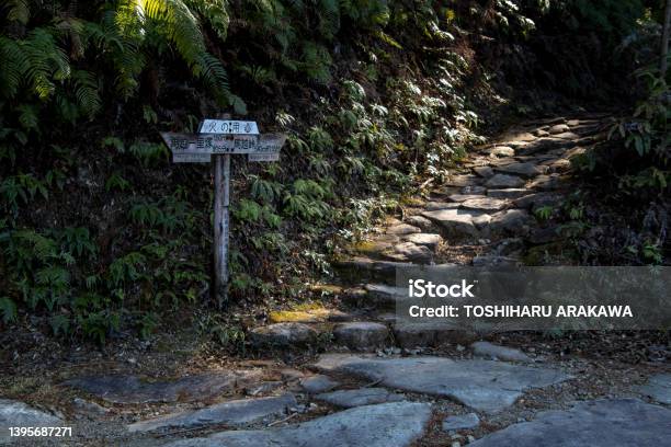 World Heritage Kumano Kodo Stock Photo - Download Image Now - Mie Prefecture, Japan, Mountain