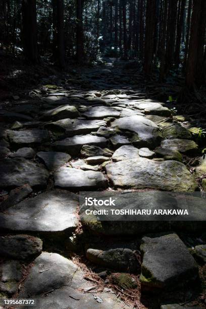 World Heritage Kumano Kodo Stock Photo - Download Image Now - Backgrounds, Beauty, Beauty In Nature