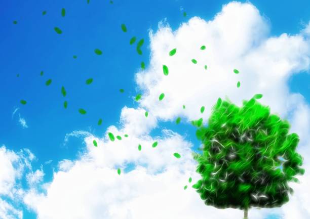 Illustration of blue sky and isolated green tree