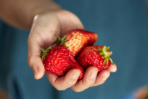 hand holding fresh strawberries