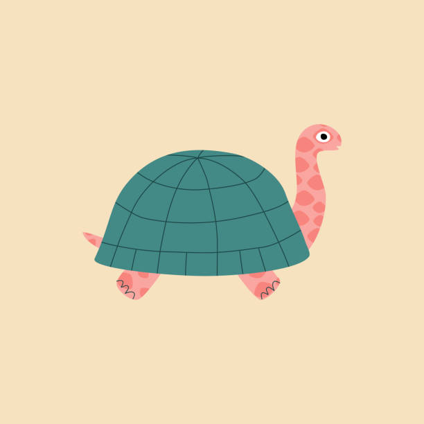istock Cute colorful turtle hand drawn vector illustration. Isolated animal for logo or icon. Adorable animal character in flat style. 1395688789