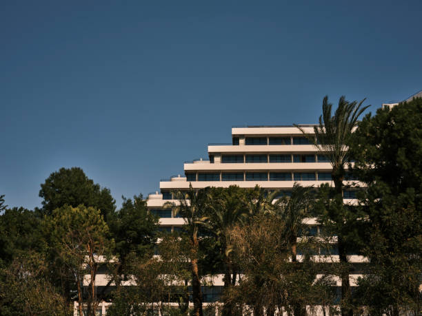 istock palm trees and a luxury hotel 1395689856