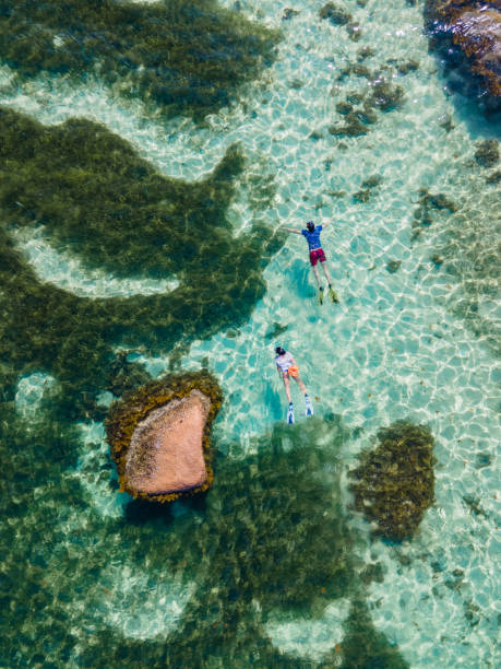 men and woman snorkling in the ocean, Praslin Seychelles tropical island with withe beaches and palm trees, beach of Anse Volbert Seychelles men and woman snorkling in the ocean, Praslin Seychelles tropical island with withe beaches and palm trees, the beach of Anse Volbert Seychelles. praslin island stock pictures, royalty-free photos & images