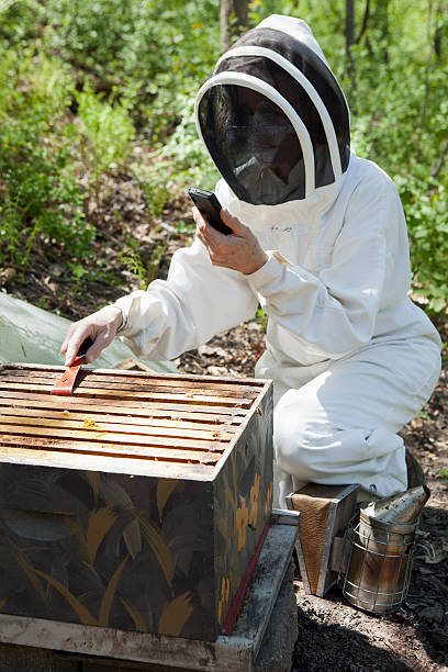 Beekeeper with cell phone Beekeeper checking the hives and using her smart phone hobbyist stock pictures, royalty-free photos & images