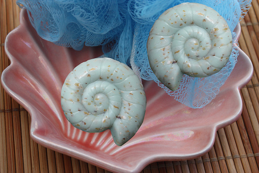 Snail-shaped scrubs in a scallop-shaped soap dish  Lifestyle