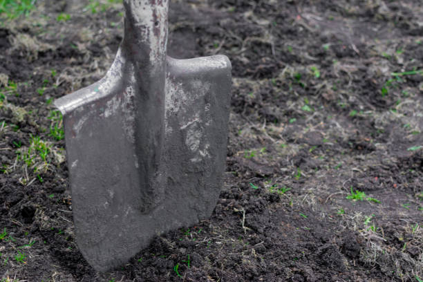 istock The working shovel is stuck in the ground. Selective focus 1395695821