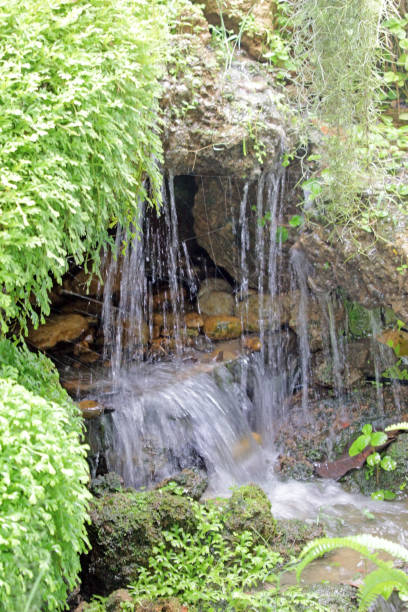 istock Water falling over mossy rocks into a pond 1395696012