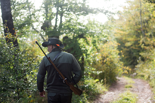 Back view of a hunter with rifle walking up the hill in the forest