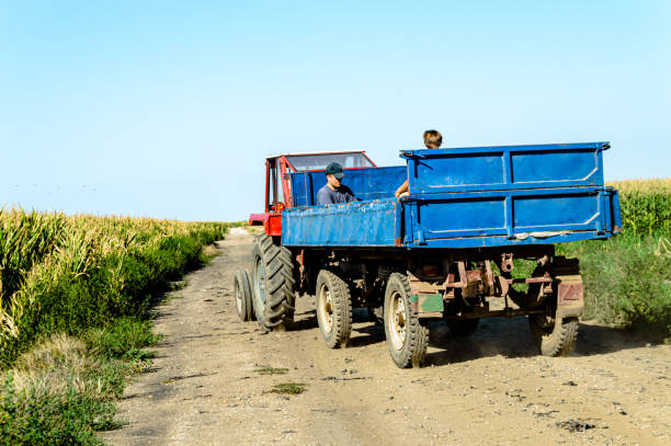 istock Farmer in a Tractor is Going to Harvest the Field. 1395698485