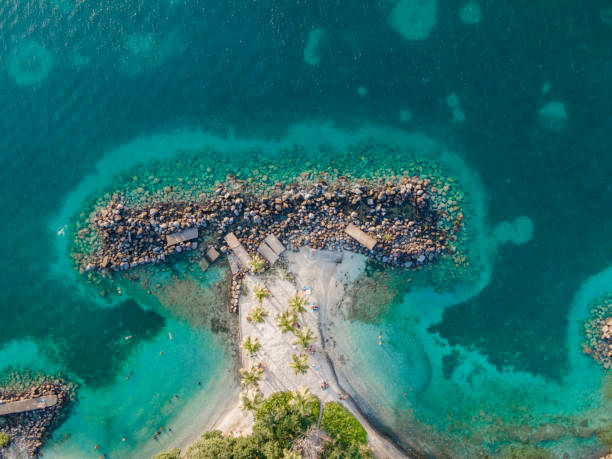 praia em la pointe du bout, les trois-ilets, martinica, antilhas francesas - pointe du bout - fotografias e filmes do acervo