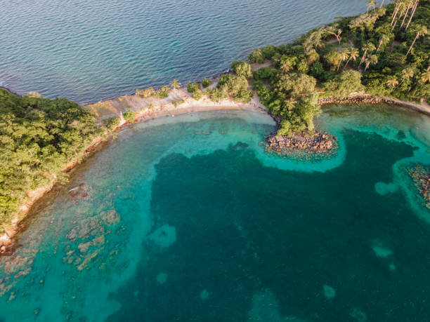 praia em la pointe du bout, les trois-ilets, martinica, antilhas francesas - pointe du bout - fotografias e filmes do acervo