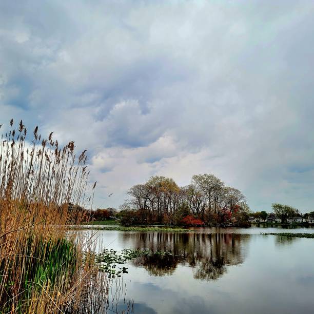 istock Cloudy at the Massapequa lake 1395701015
