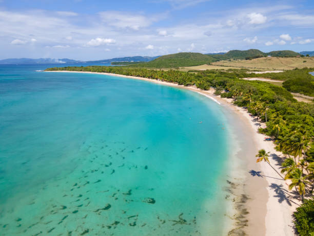 Salines beach, Sainte-Anne, Martinique, French Antilles stock photo