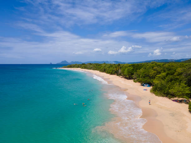 salines beach, sainte-anne, martinique, french antilles - grande anse des salines beach photos et images de collection