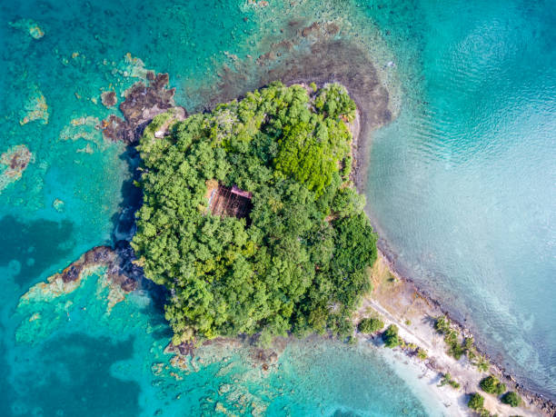 la pointe du bout, les trois-ilets, martinique, french antilles - pointe du bout 뉴스 사진 이미지