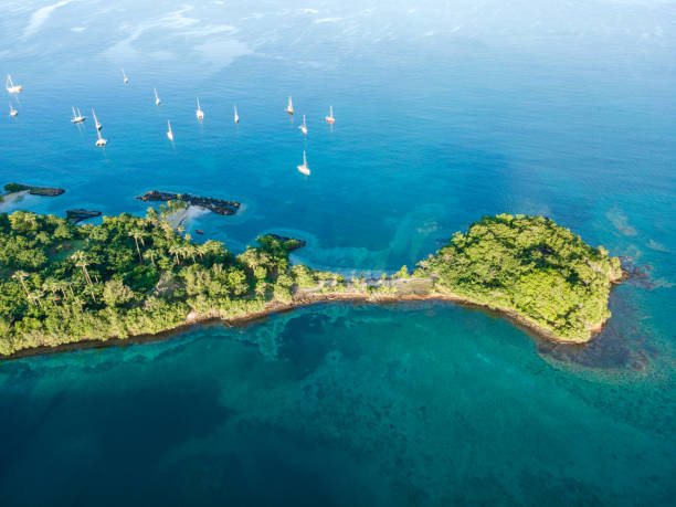 la pointe du bout, les trois-ilets, martinique, french antilles - pointe du bout 뉴스 사진 이미지