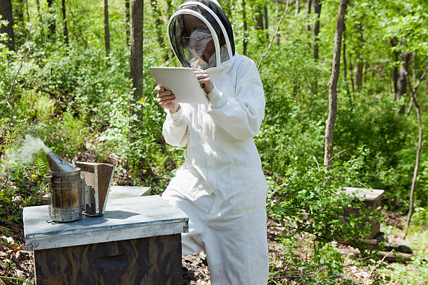Beekeeper using digital tablet stock photo