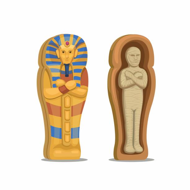 mumienleiche mit sargfigur zeichensatz ägypten kultur cartoon illustration vektor - pharaonic tomb stock-grafiken, -clipart, -cartoons und -symbole