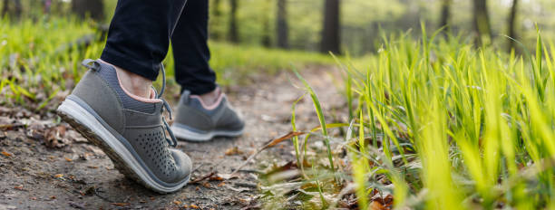 Sports shoe walking on footpath in forest stock photo