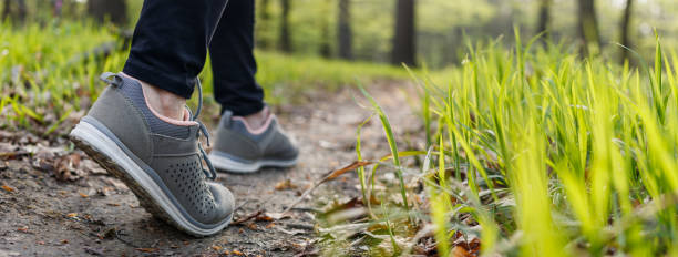 Sports shoe walking on footpath in forest Sports shoe walking on footpath in forest. Woman hiking in woodland at springtime. Panoramic view someone walking sneakers stock pictures, royalty-free photos & images