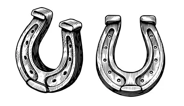 Vector illustration of Horseshoe hand drawn engraving style. Vintage sketch isolated on white background. Vector illustration