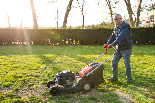 Retired Old Man Mows His Garden , Male Lifestyle