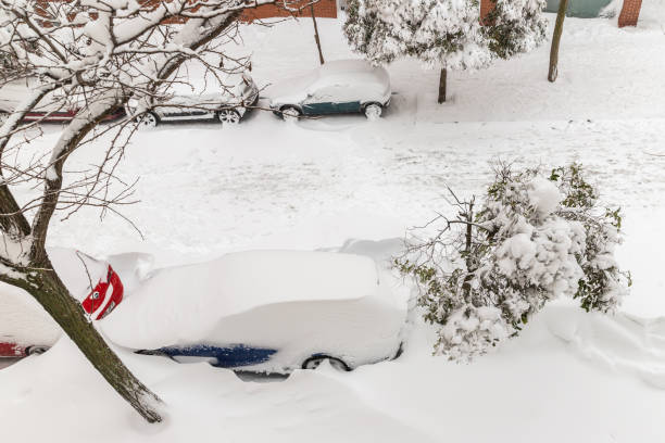 istock Snow covered cars 1395716954