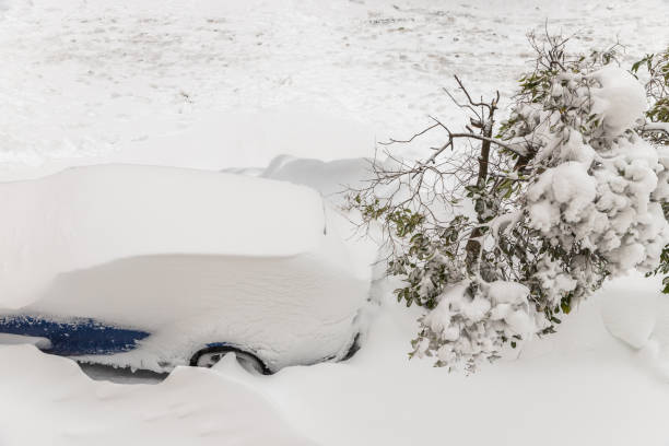 istock Snow covered cars 1395716962