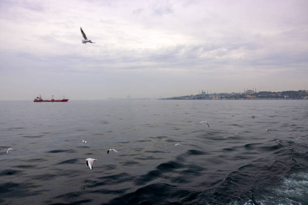 Istanbul in Turkey