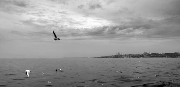 istock Istanbul in Turkey 1395718252