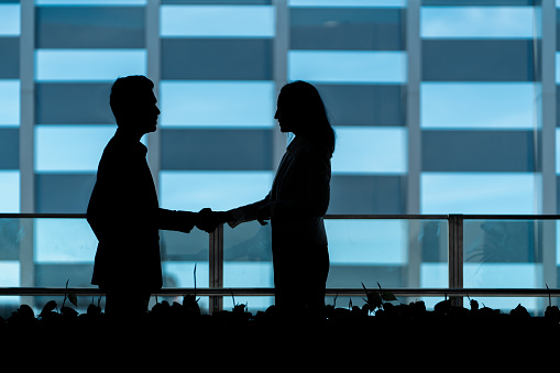 Successful business - Indian man and woman handshake in silhouette