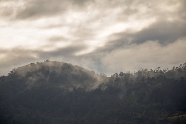 istock Hazy and misty sunrise over the farmlands 1395720196