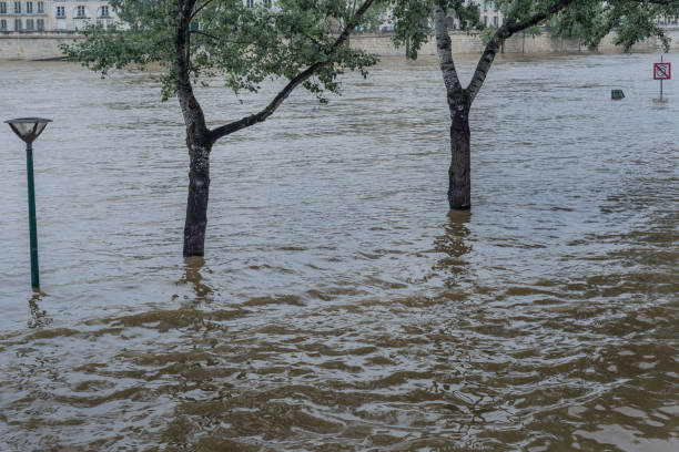 istock A flood on the River Seine 1395720960